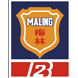 上海梅林