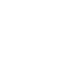 Bridgeline Digital