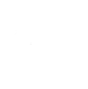 Digital Brands Group