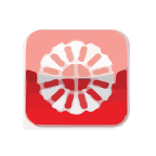 South Plains Financial